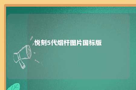 悦刻5代烟杆图片国标版